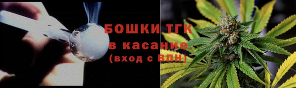 молекула духа Инсар