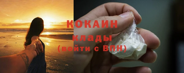 мет Инта