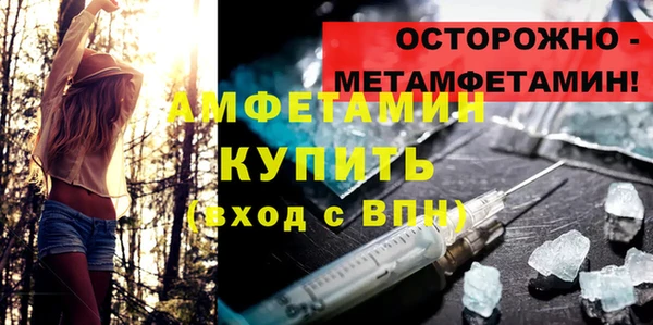 молекула духа Инсар