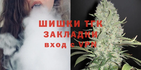apvp Каменногорск