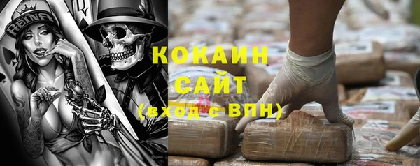 apvp Каменногорск